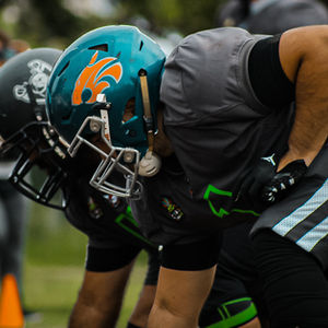 Tazón Carnaval 2025