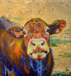 Curious Cow