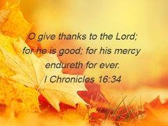 November Purpose! Newsletter