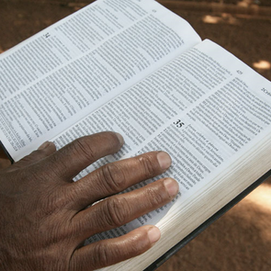 Purpose! Newsletter - September 2024