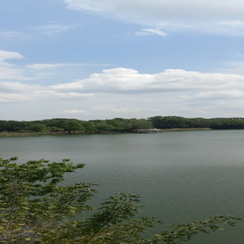 Purpose Newsletter - June 2023