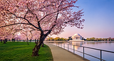60bd6f4b-f6cc-4034-9070-56def82f2001.png