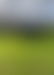 January Green Keeper Update