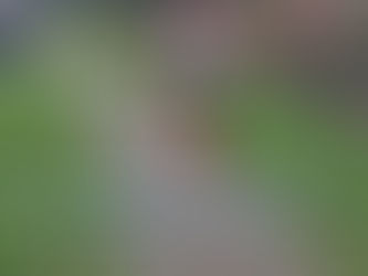 Scarsbrook Takes Tight Win Whilst OWLS 1-2 Sees Edge on Top