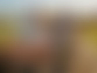 Four Things You Did Not Know About Argentine Sausage Culture