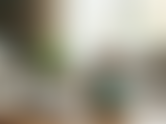 Top 10 Must-Have Products for Happy Home