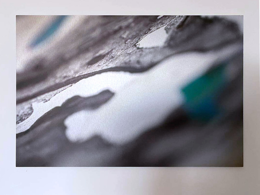 Joining Heaven and Earth II, fine art macro photography by visual artist Danielle Jacques. Printed on brushed aluminium.