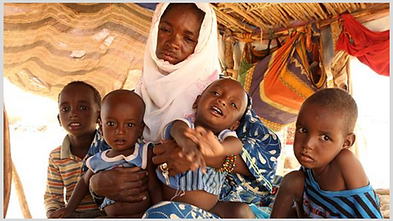 Untitled (Website).png