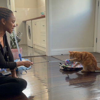 Prunkte sammeln beim Reisen und Haustiersit