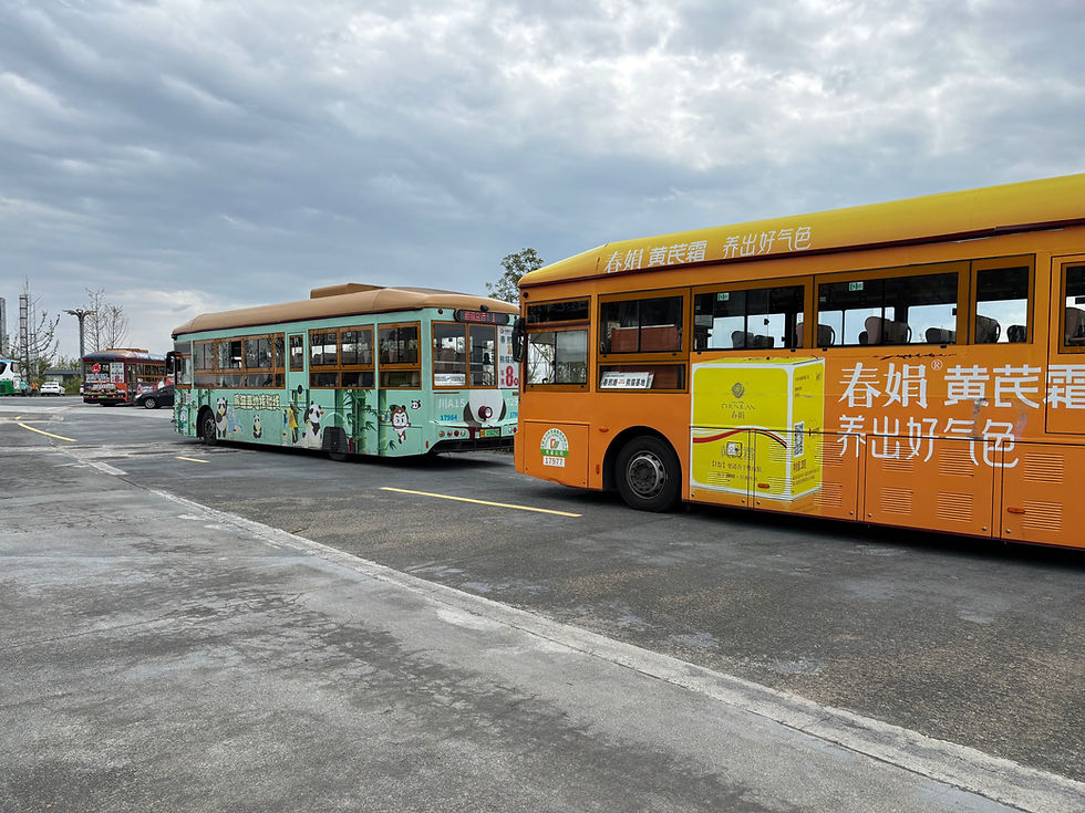 Bus Shuttle zur Chengdu Panda Research Base