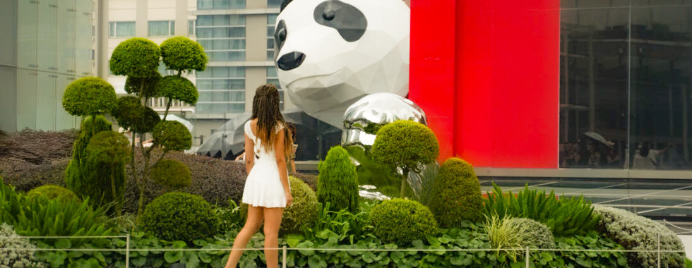 Chunxi Road Chengdu Panda