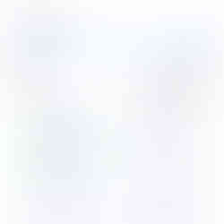 Günstige Flüge finden skyscanner