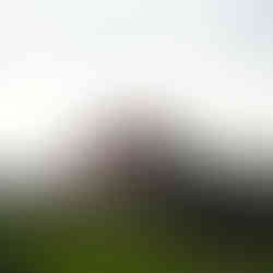 Verbotene Stadt Peking