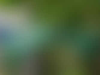 Gungung Leuser Nationalpark