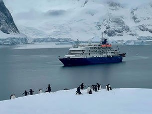 Unveiling Antarctica: A Quick Guide to Scoring Last-Minute Cruise Deals