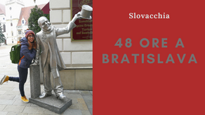 48 ore a Bratislava.
