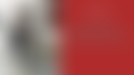 48 ore a Bratislava.