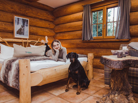 Mit Hund Harz erleben