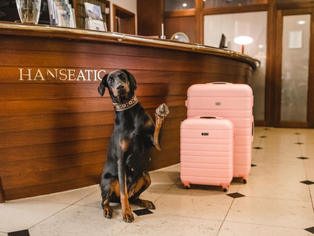 Hotelurlaub mit Hund auf Rügen