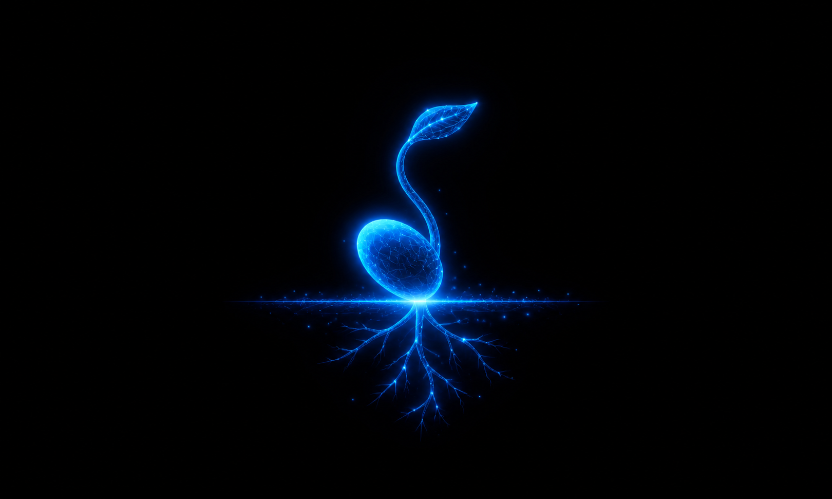 Digital representation of a seed growing