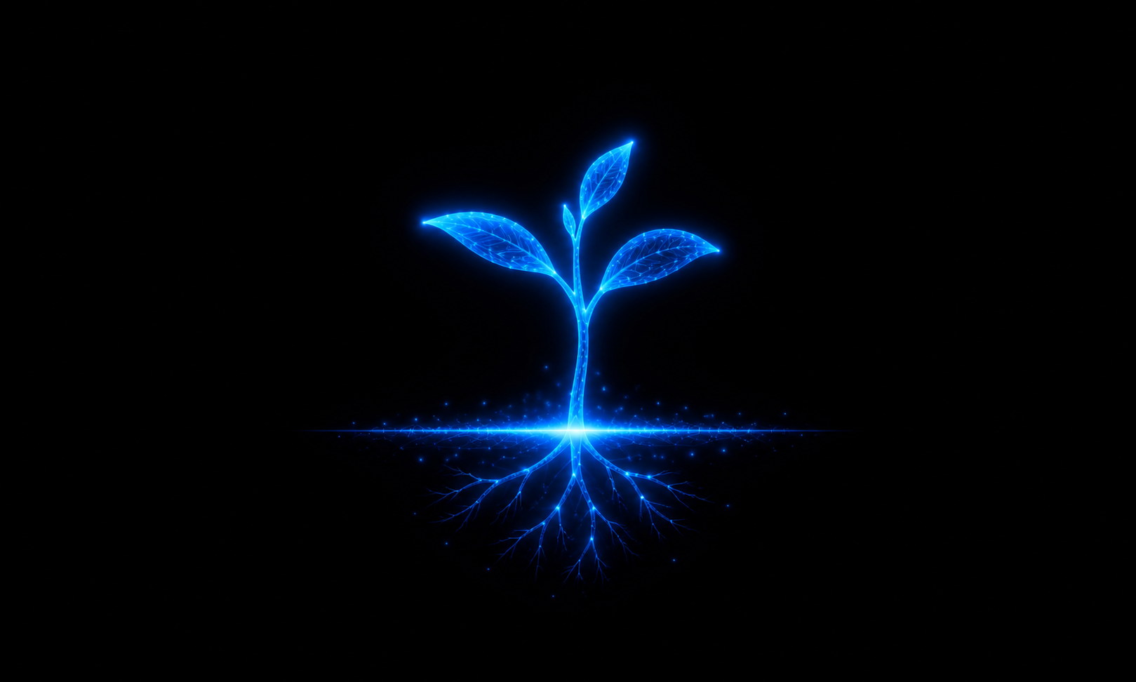 Digital representation of a growing tree sapling