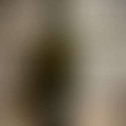 Sandhi Santa Barbara County Chardonnay 2022