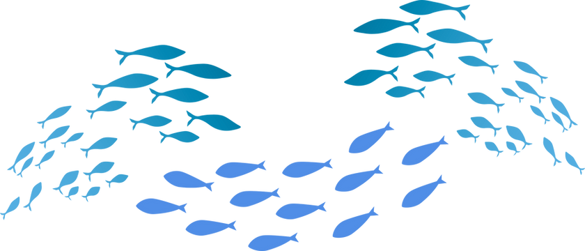 os filhos do mar (8).png