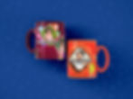 psdstore.in
