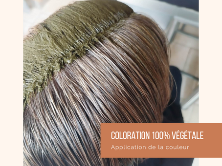 LA COULEUR VEGETALE COMMENT CA MARCHE?