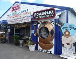 Spongeorama Cruise lines