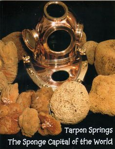 Tarpon Springs is a city on central Florida’s Gulf Coast. Greek eateries line waterfront Dodecanese Boulevard, a legacy of the Greek sponge divers who settled here in the early 1900s. Along the water, the Historic Sponge Docks are a reminder of the once booming industry. Tarpon Springs Aquarium displays Gulf marine life.
