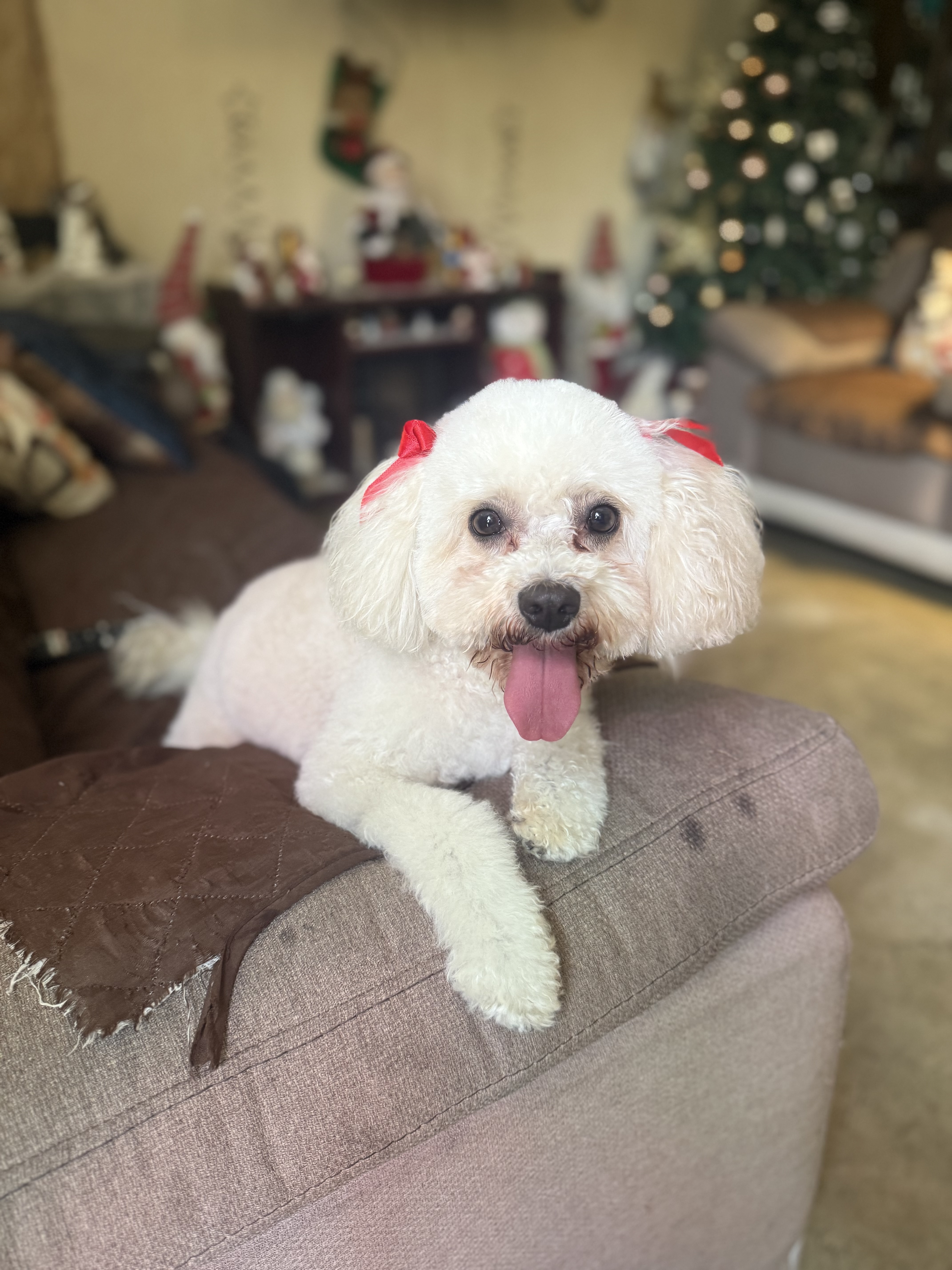 Molly