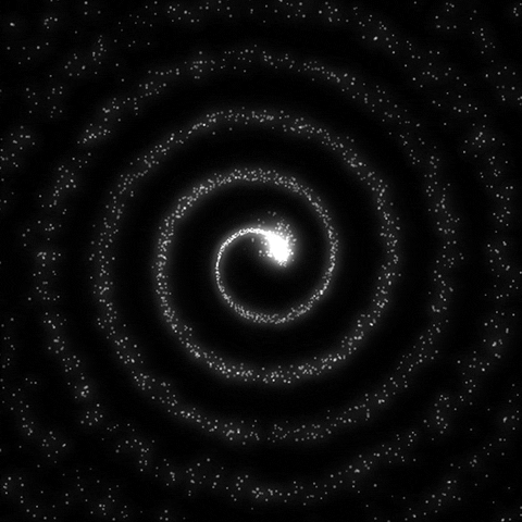 giphy-14.gif