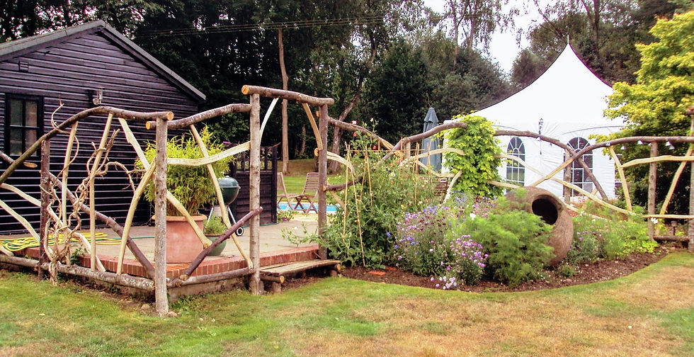 Spring time after planting