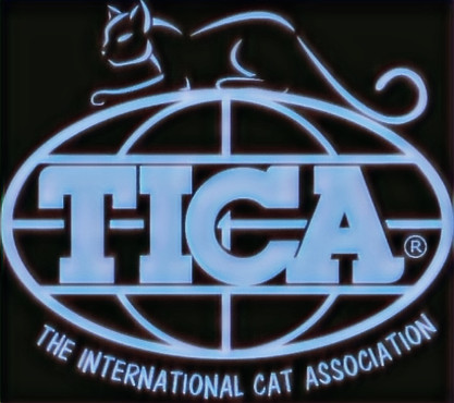 The International Cat Association