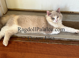 IMG_7623_edited.jpg