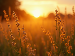 Maximizing Impact: The Case for Free Photographic Editing Software in Achieving Professional Results