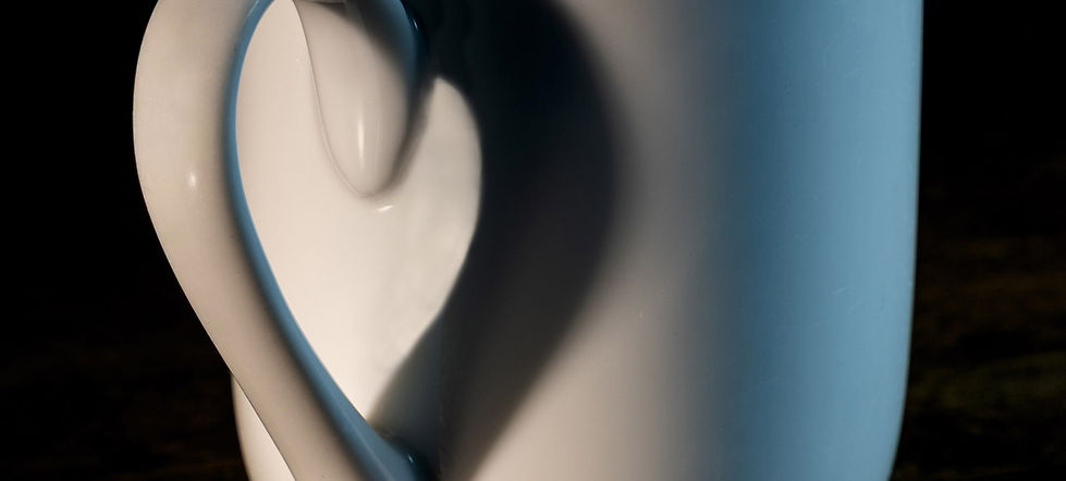 1st Place