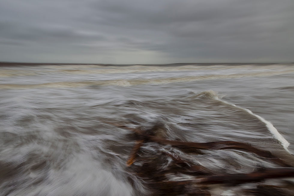 HC Driftwood -Phil Payne.jpg