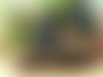 What is the Balafon?