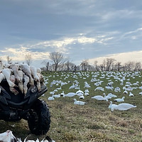 Fowl Play Waterfowling Guided Hunt in Upstate New York