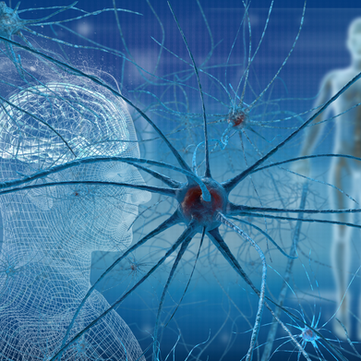 Function-Therapeutics_Collaboration-Projects (3).png