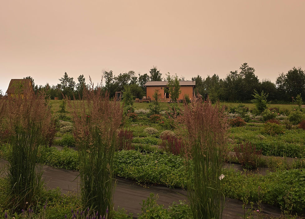 Sacred Ground Retreat
