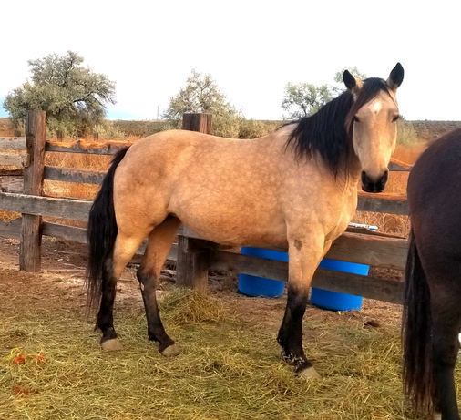 jazz face_edited.jpg