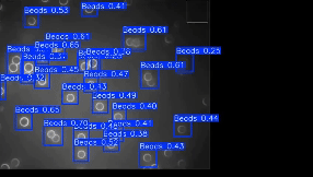 video_test.gif