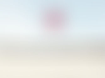 How many types of Attack in F5 ASM