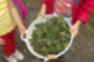 Cyber Green Market News