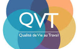 qvt.jpeg
