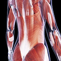 fasciathérapie