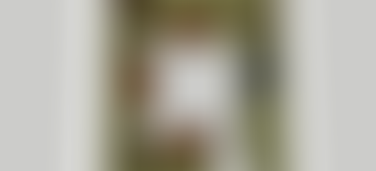 Walk-in Closet Storage